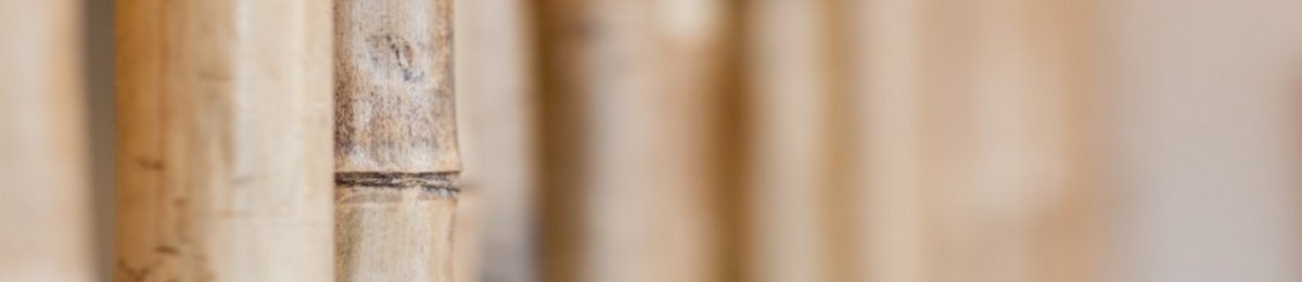 Behandlungserfolge bei der Fettabsaugung, Liposuktion, dem Fettabsaugen, Liposuction Behandlungserfolge bei der Fettabsaugung, Liposuktion, dem Fettabsaugen, Liposuction